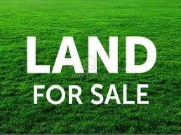 WTS Agriculture Land Kampung Bukit Kapar 1