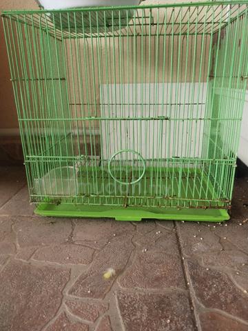 sangkar burung  - photo 4 of 4