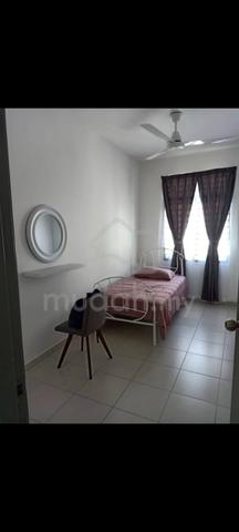 Bilik Single Taman Scientex Utama 1