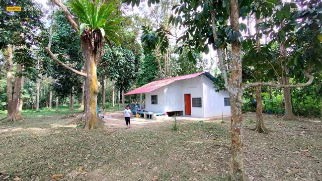 Tanah Dusun Durian/Buah serta Rumah 1.3relong 1