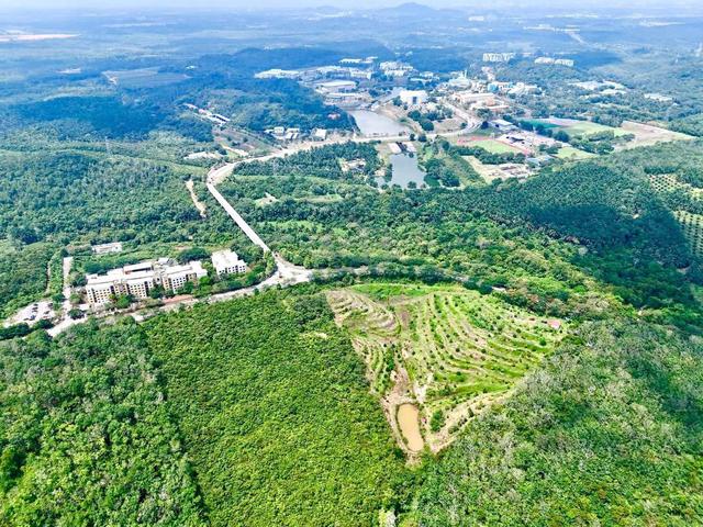 Strategic Location 1st Layer Agriculture Land Ayer Keroh Melaka 1