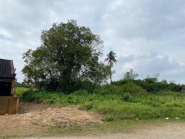 Land for Sale 1