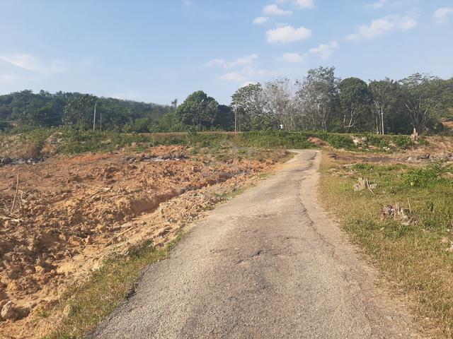 Tanah 3 Ekar Tepi Jalan Untuk Disewakan 1