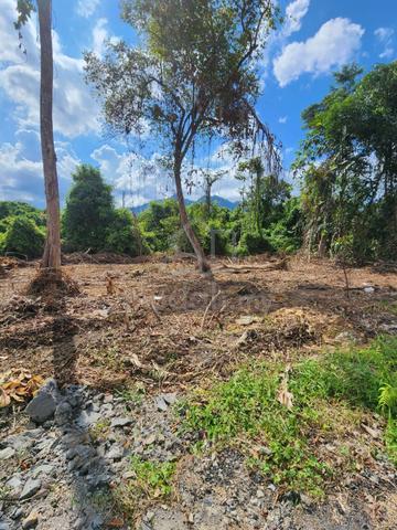 LOT1521 Matang Land 1