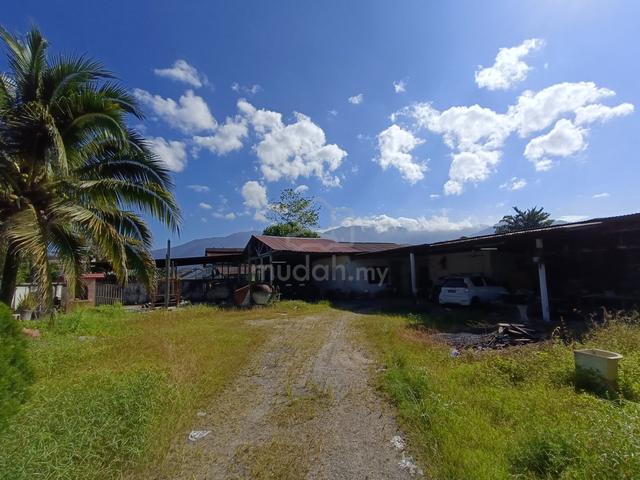3 Adjacent Residential Lots for Sale in Pokok Assam, Taiping, Perak – 1