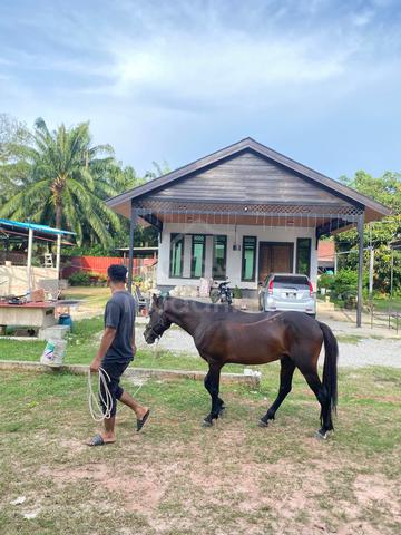 Carousel Image