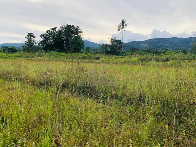 land for sale (PADDY FIELD) 1