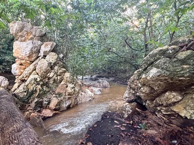 Tanah cantik dan berbaloi untuk dimiliki berserta sungai air jeram 1