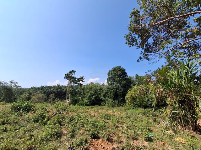 Tanah untuk dijual 5