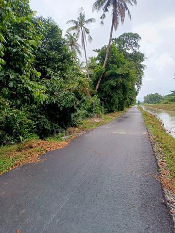TANAH BESAR LUAS Kg Alor Jambu Dekat Bandar Kuala Nerus dan batu rakit 1
