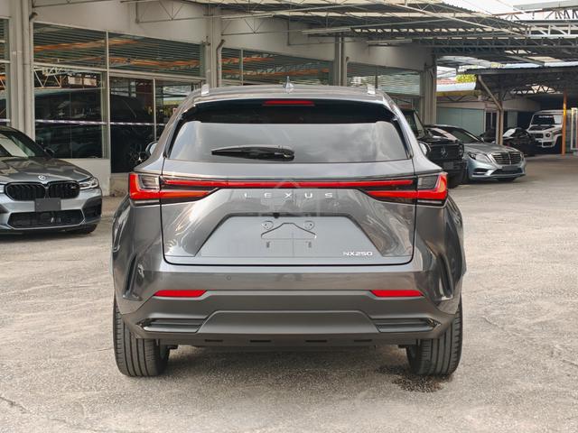 2022 Lexus NX 250 2.5 LUXURY (A) Grade 5A, 17K KM - 4