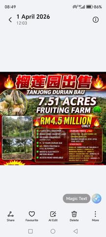 7.51 acres 95 years leasehold Duiran+Dabai+Mixed fruits farm 1