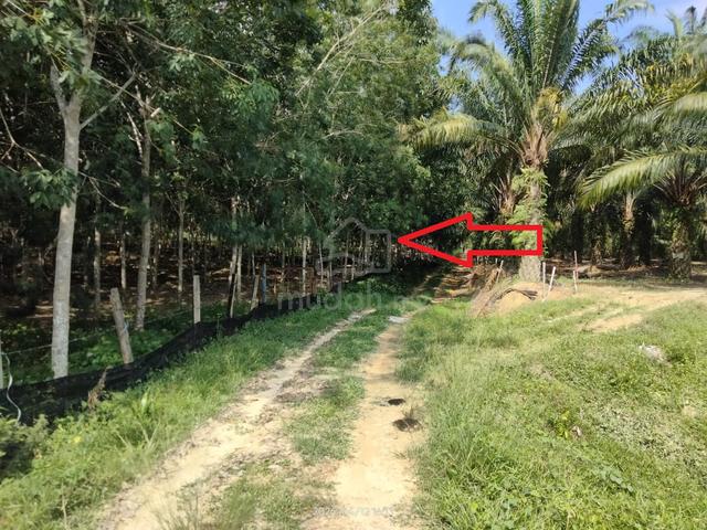 2.5 acres. Retiring to let go 1