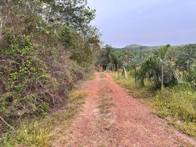 Freehold Agriculture Land For Sale At Rompin,Bahau,Negeri Sembilan 1