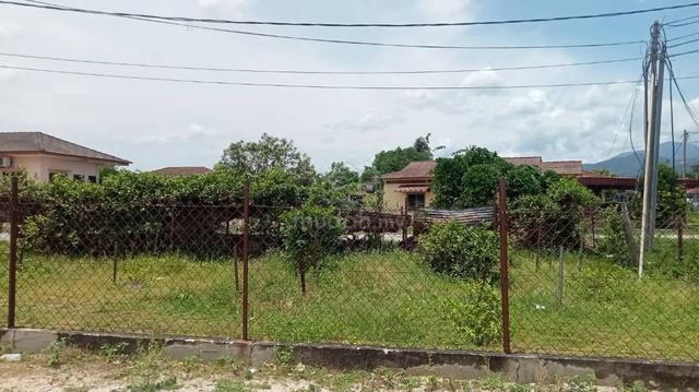 Tanah Luas Dengan Pokok Bunga Melur Untuk Disewa 1