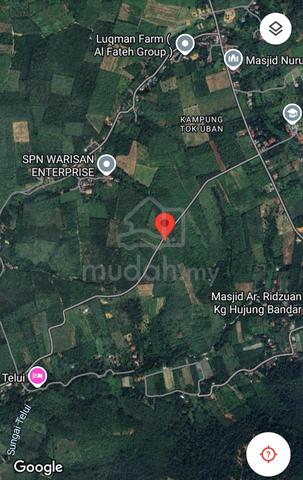 [2Ekar Boleh Masuk 6Nama] Kebun Getah Tepi Minitar Carok Tok Uban 5