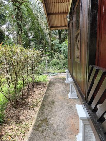 Tanah kebun, rumah dan homestay untuk dijual 1