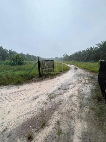 2.28 Ekar Tanah Dusun RTB Air Putih (Jln kg Dew) Taiping, Perak 3