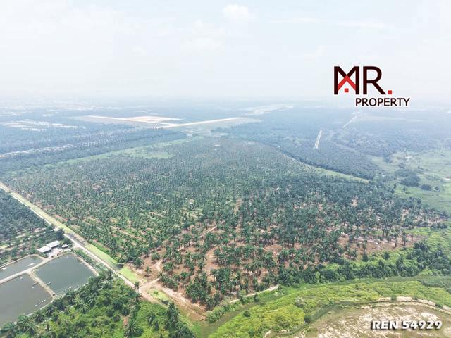 STRATEGIC LOCATION @ Oil Palm Farm Sungai Jawi, Pulau Pinang FOR RENT 1