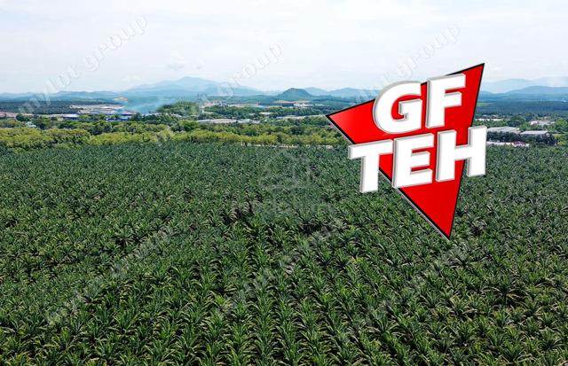 192 acres Industrial Land | Kuala Muda | Gurun | Kedah | RM12 psf 5