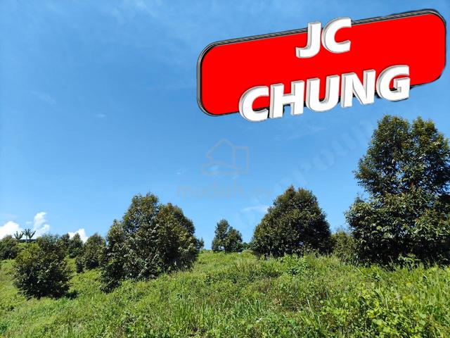 9.9 Acres Durian Land For Sale @ Lenggong , Perak 3