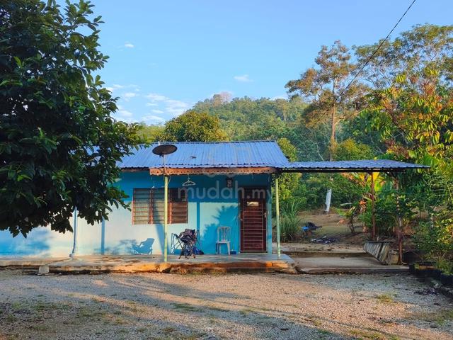 Rumah sewa air hitam lendu 1