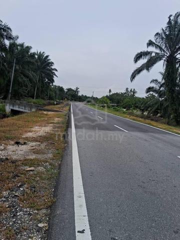Pontian Agricultural Land For Sale 1