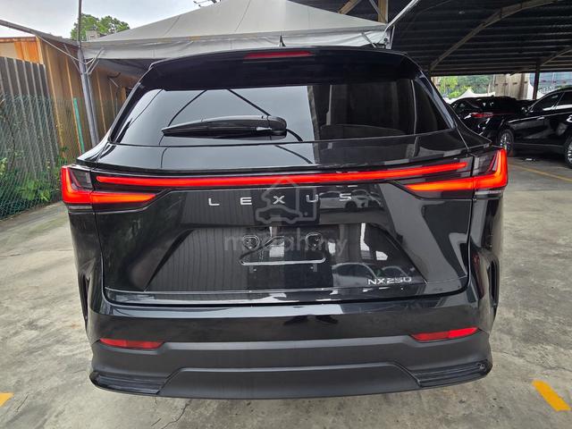 2024 Lexus NX250 2.5 Base Spec Ready Stock 4.5/23k - 4