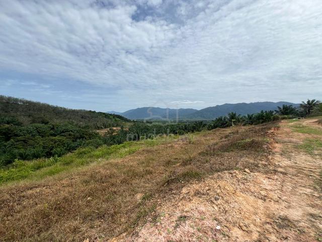 Multiple Agriculture Purpose Land (3 Acre) with Reserve Road for Sale 4