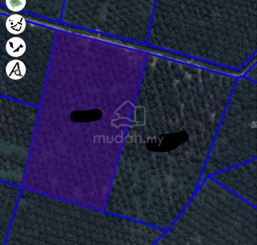 LADANG SAWIT FOR SALE! Batu Pahat 1