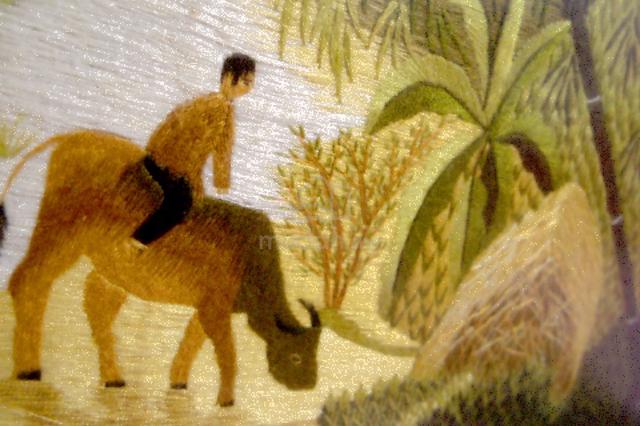 Carousel Image