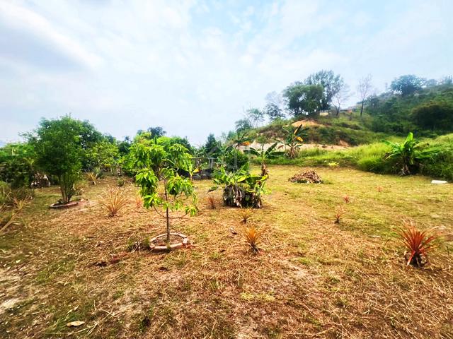 Flat Land | Behind City Mall | Iramanis | Luyang | CL Title | For Sale 1