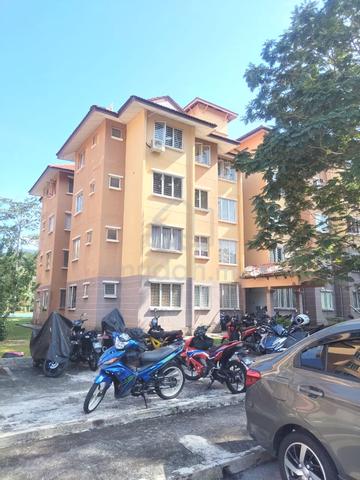 Damiana Apartment 1