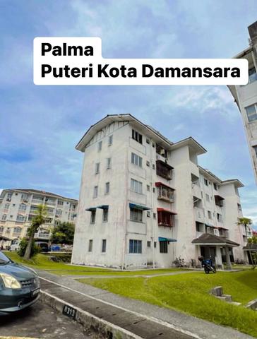 Palma Puteri 1