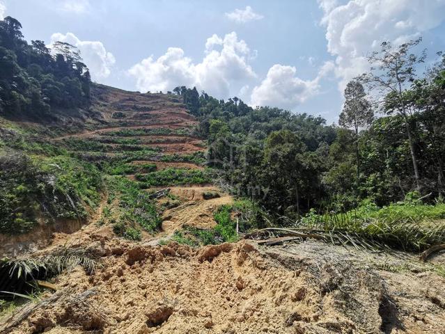 15 Acres Freehold Hilly Agriculture Land Ampangan Seremban 1