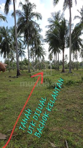 Tanah untuk dijual 1