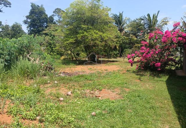 Tapak Rumah Kg Tengah Segamat Johor 1