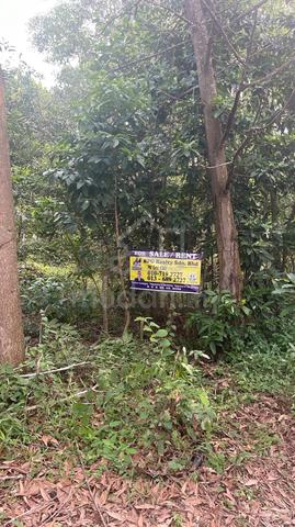 Telok Mas Industrial Land For Sale 1
