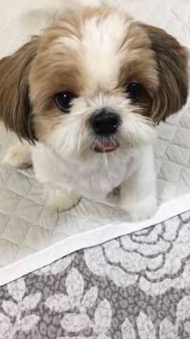 Carousel Image Selected