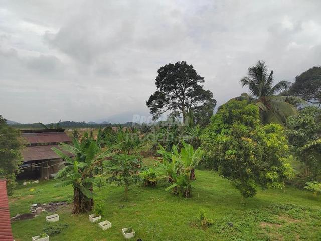 1.1 ekar tanah serta rumah dan kandang ayam di Kg Sri Kendong, Rembau 4