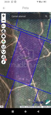 Tanah Pertanian Kluang Untuk Dijual 1
