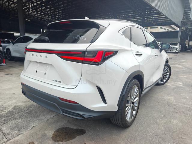 2023 Lexus NX 250 Luxury P/Roof 4Cam DIM HUD P/B.. - 2