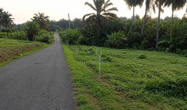 Setengah Ekar Tanah Kosong Kg Murni Jaya Kulai Johor 1