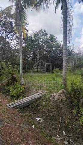 1.6 Ekar Tanah Kosong Kg Paya Lebar Mukim Jementah Segamat Johor 1