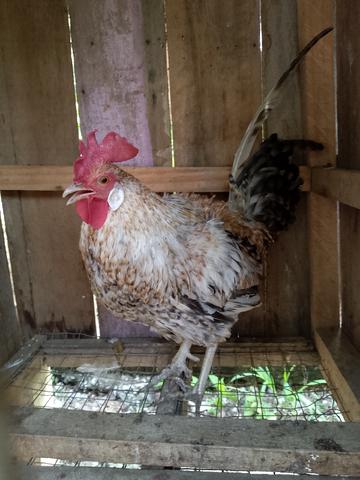 Carousel Image