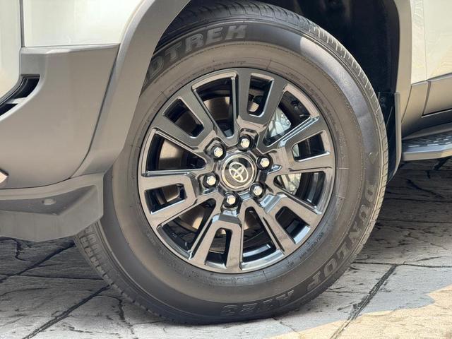 2025 Toyota LANDCRUISER 250 2.7 VX FIRST EDITION - 3