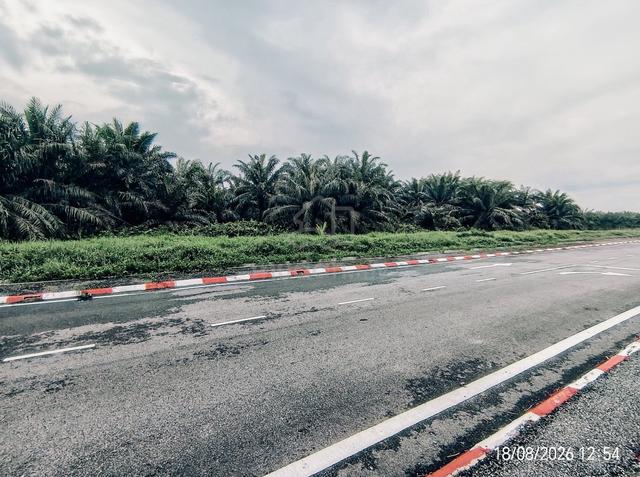 Perak Teluk Intan Agricultural Leasehold Land For Sale 1