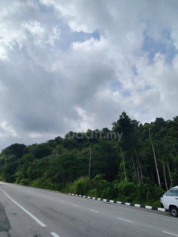 Agriculture land Pondok upeh balik pulau  for sale 1