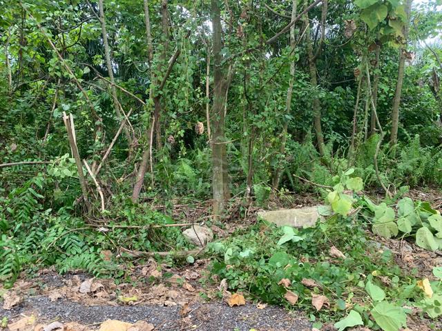 Lot PT1671 Lrg Punggok Bt 9 Jln Kebun Bharu Utk di Jual Kuala Langat 1
