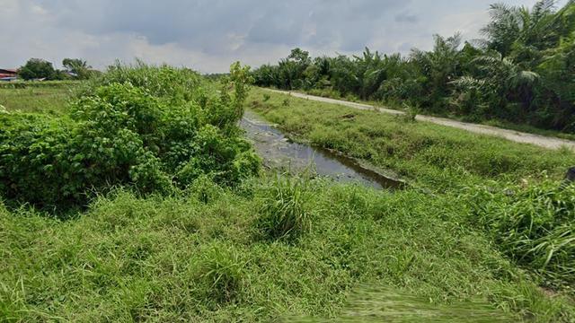 [1 ACRE] Klang Johan Setia Sijangkang Agricultural Land 1